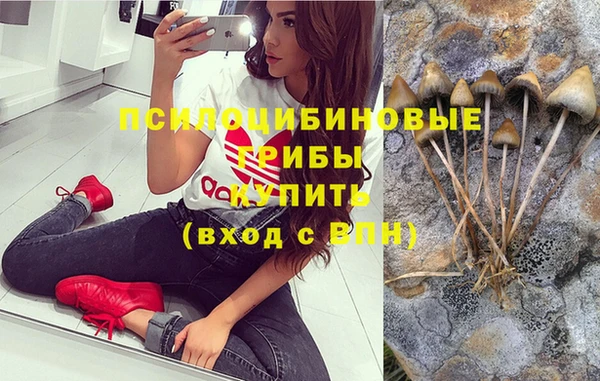 дурь Надым